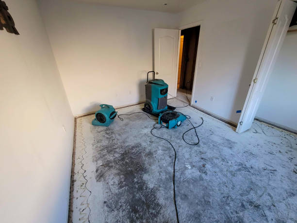 Best Fire Damage Restoration  in La Selva Beach, CA