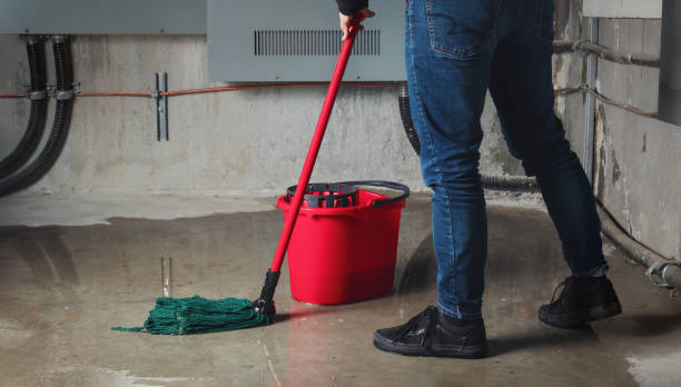 Best Residential water damage restoration  in La Selva Beach, CA