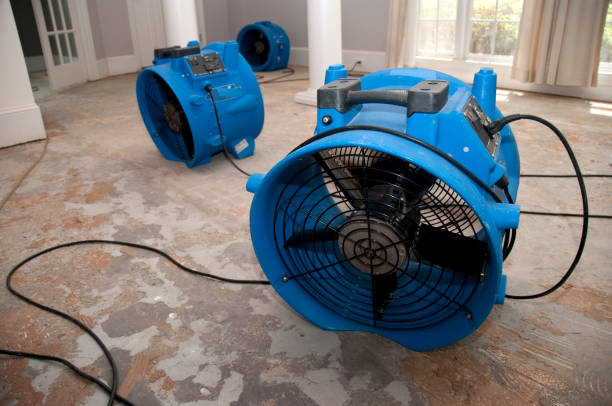 Best Ceiling water damage repair  in La Selva Beach, CA
