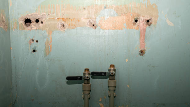 Best Flood damage cleanup  in La Selva Beach, CA